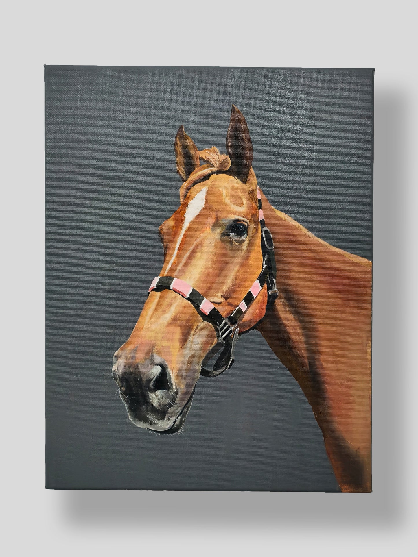 Custom Pet Oil Paintings