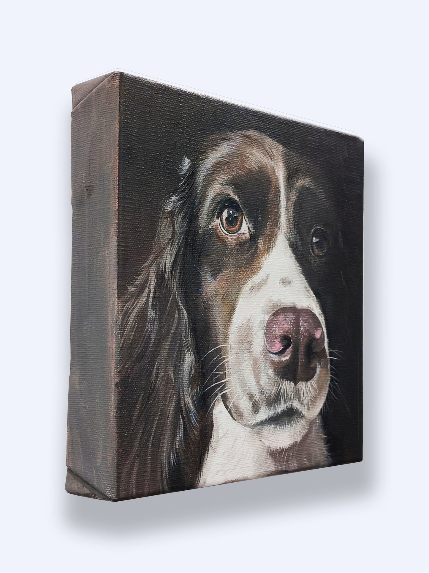 Custom Pet Oil Paintings